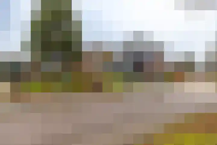 Nieuwe Rijksweg 47 Vries thumbnail 41