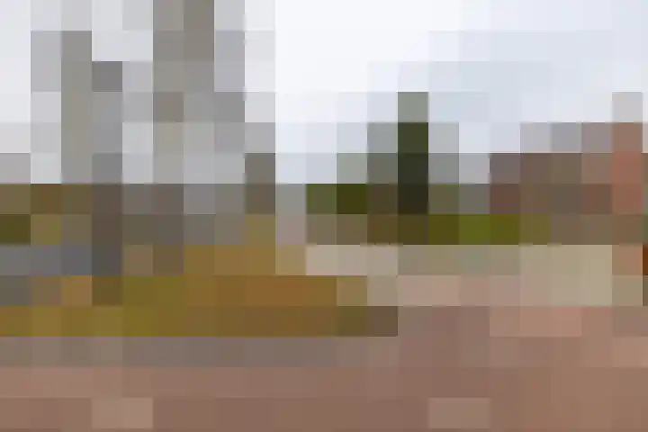 Nieuwe Rijksweg 47 Vries thumbnail 42