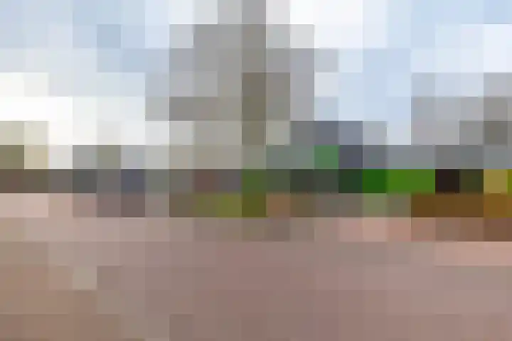 Nieuwe Rijksweg 47 Vries thumbnail 43
