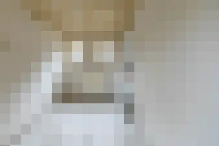 Nieuwe Rijksweg 47 Vries thumbnail 9