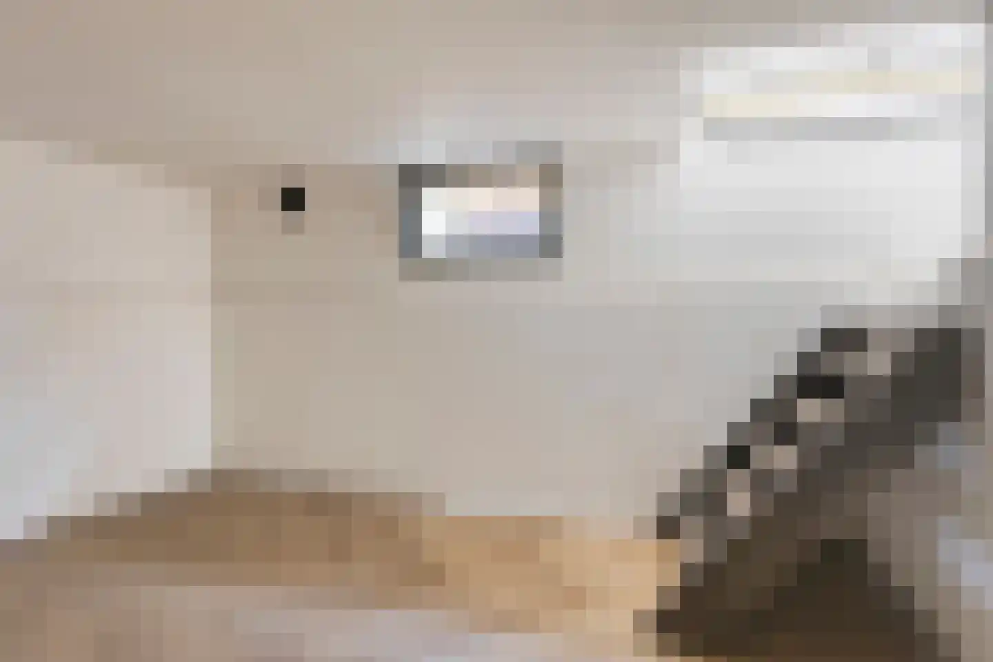 Nieuwe Rijksweg 8 Vries thumbnail 17