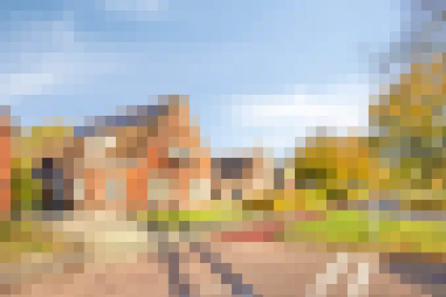 Nieuwe Rijksweg 8 Vries foto 3