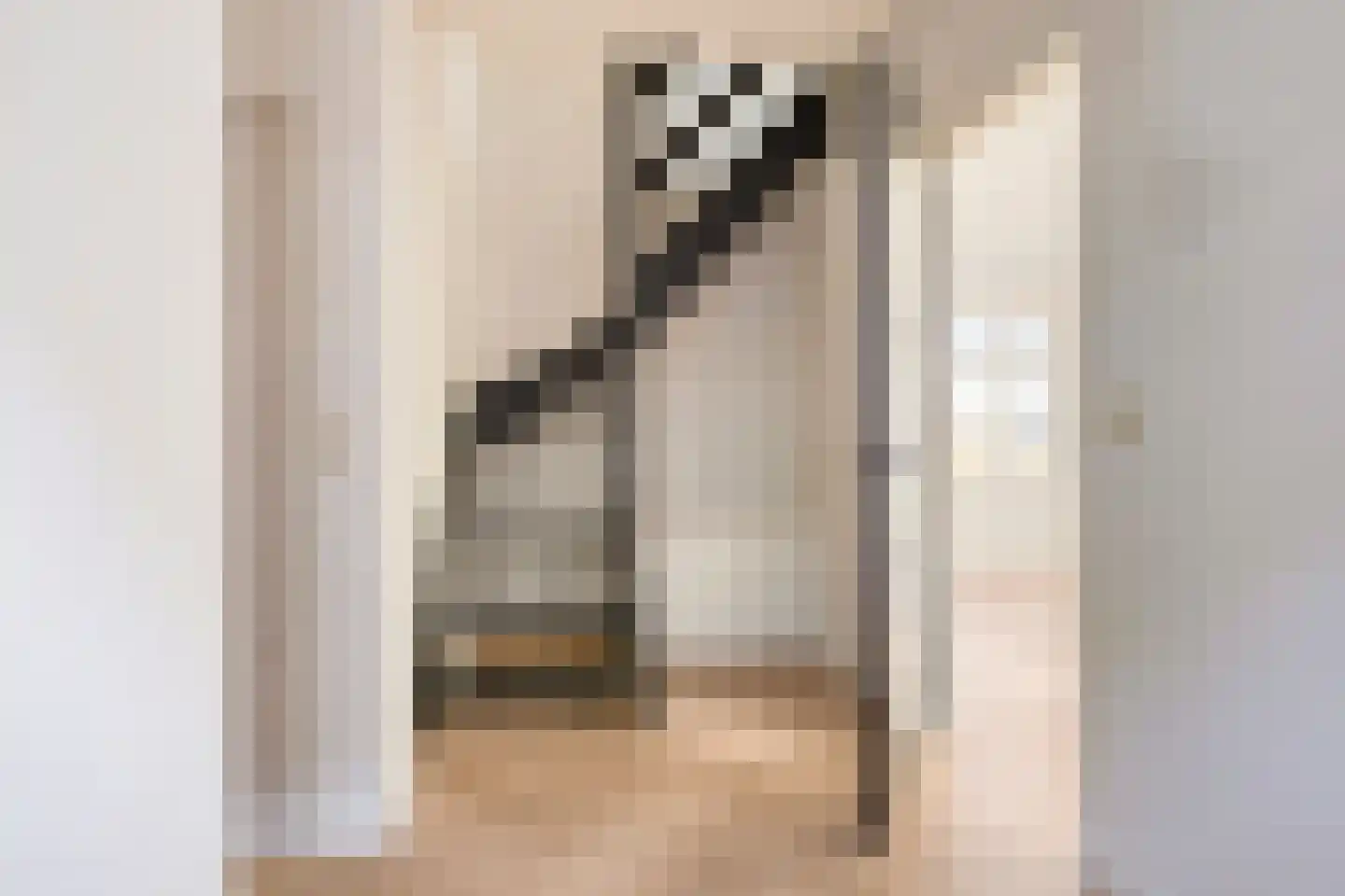 Nieuwe Rijksweg 8 Vries thumbnail 7