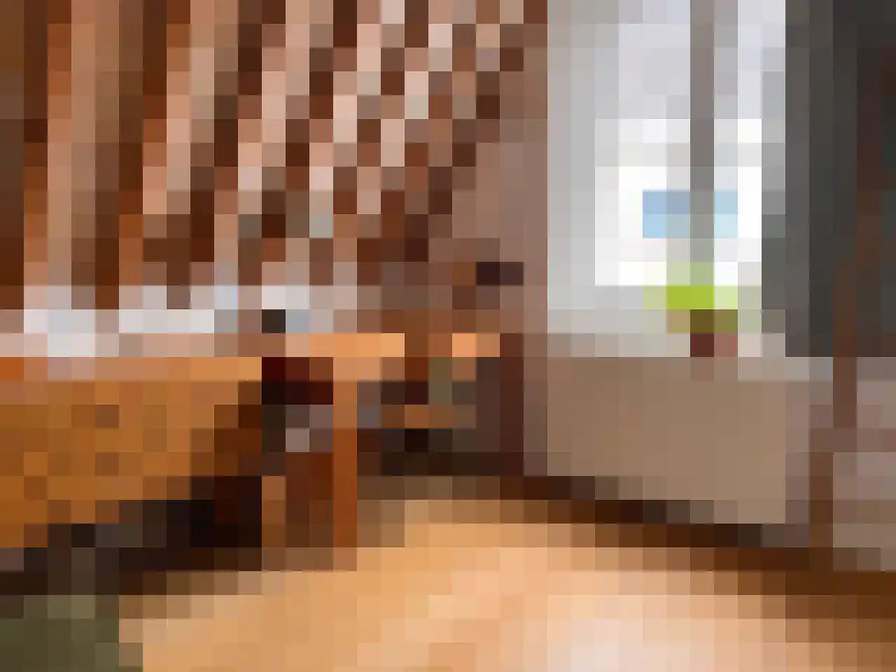 Nieuwe Rijn 105 B Leiden thumbnail 8