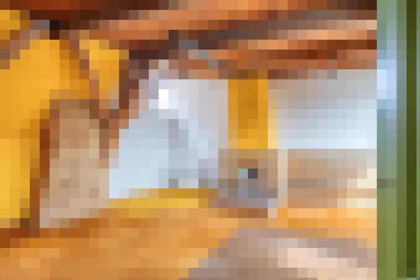 Nieuwe Rijn 111 A Leiden thumbnail 20