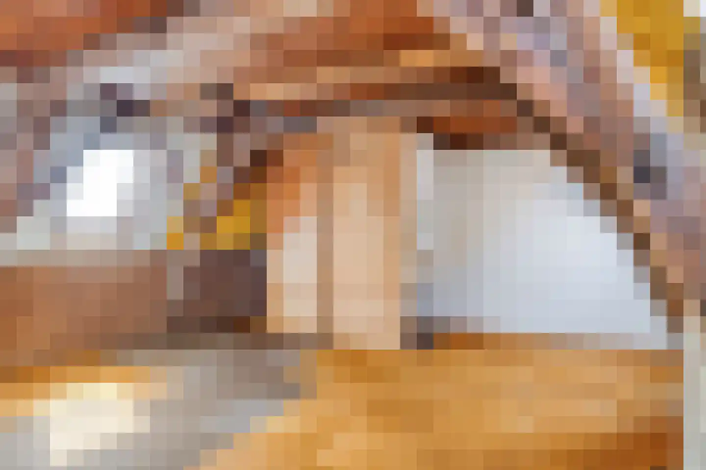 Nieuwe Rijn 111 A Leiden thumbnail 21
