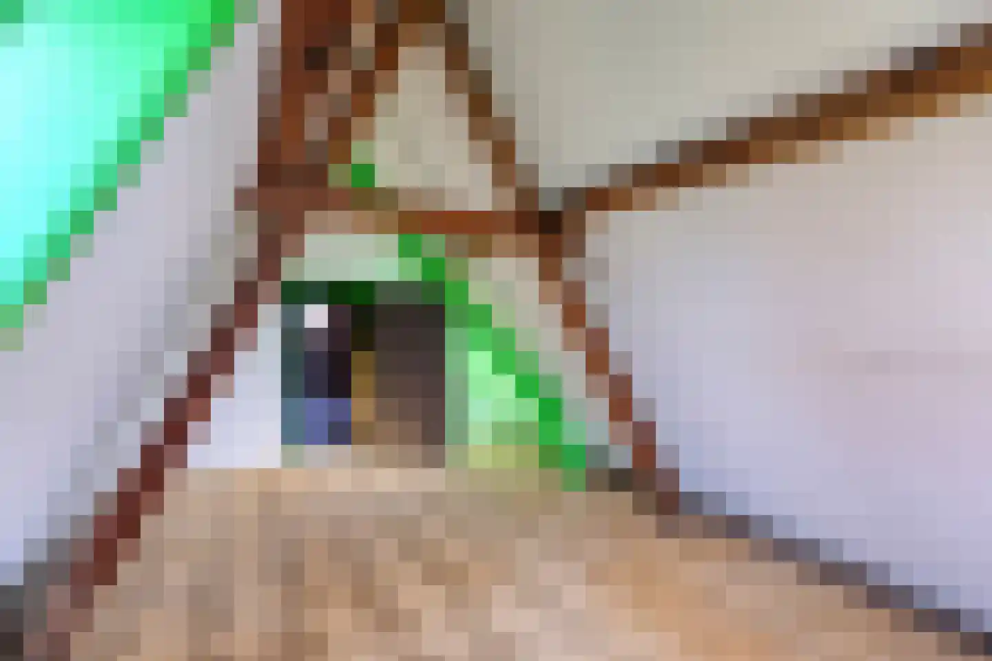 Nieuwe Rijn 111 A Leiden thumbnail 25