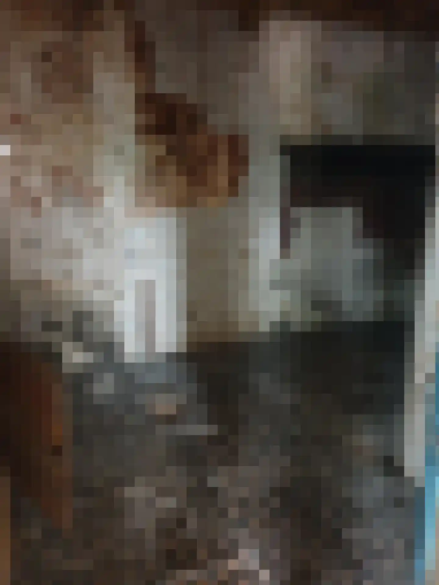 Nieuwe Rijn 14 Leiden thumbnail 20