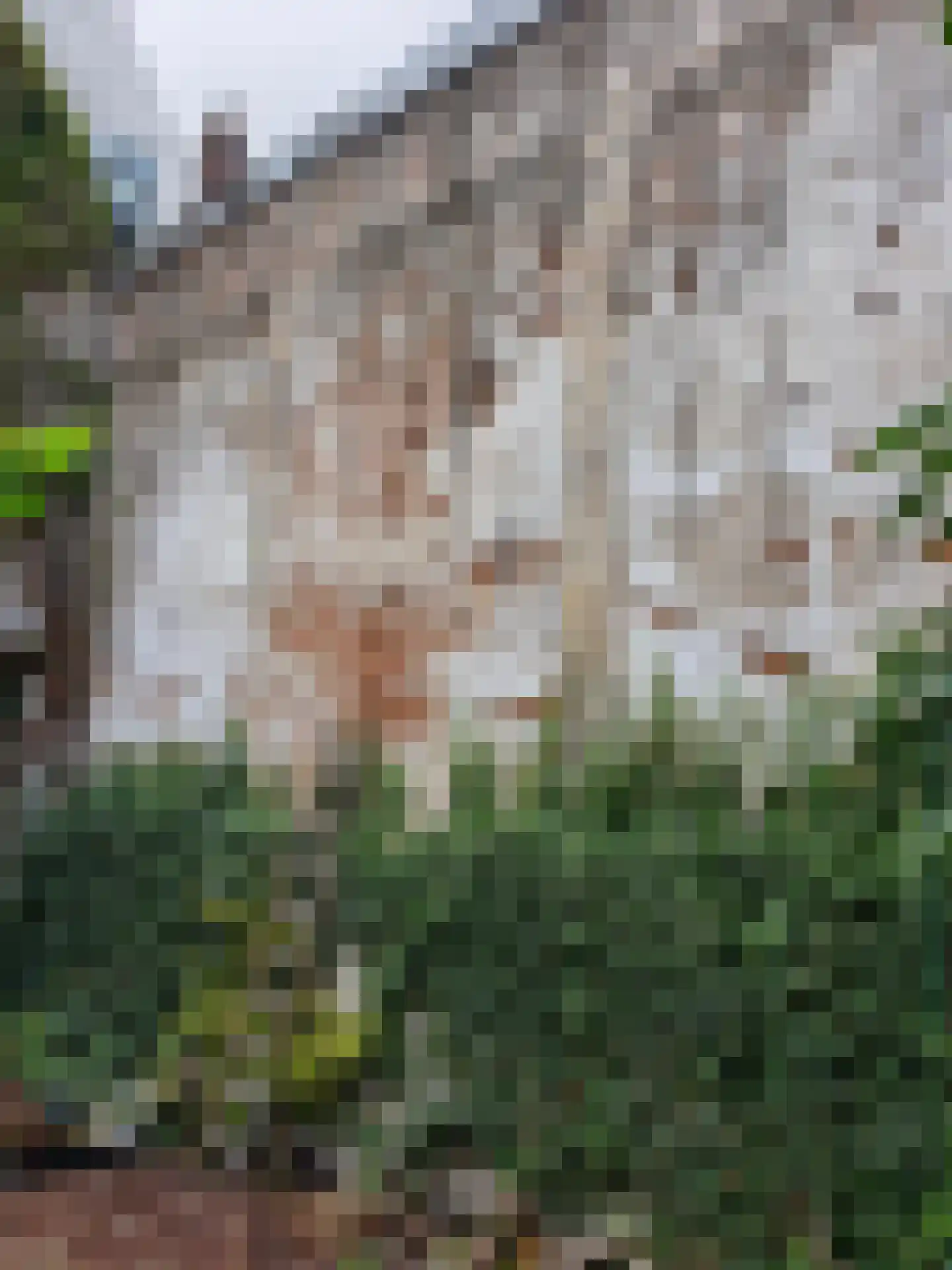 Nieuwe Rijn 14 Leiden thumbnail 23