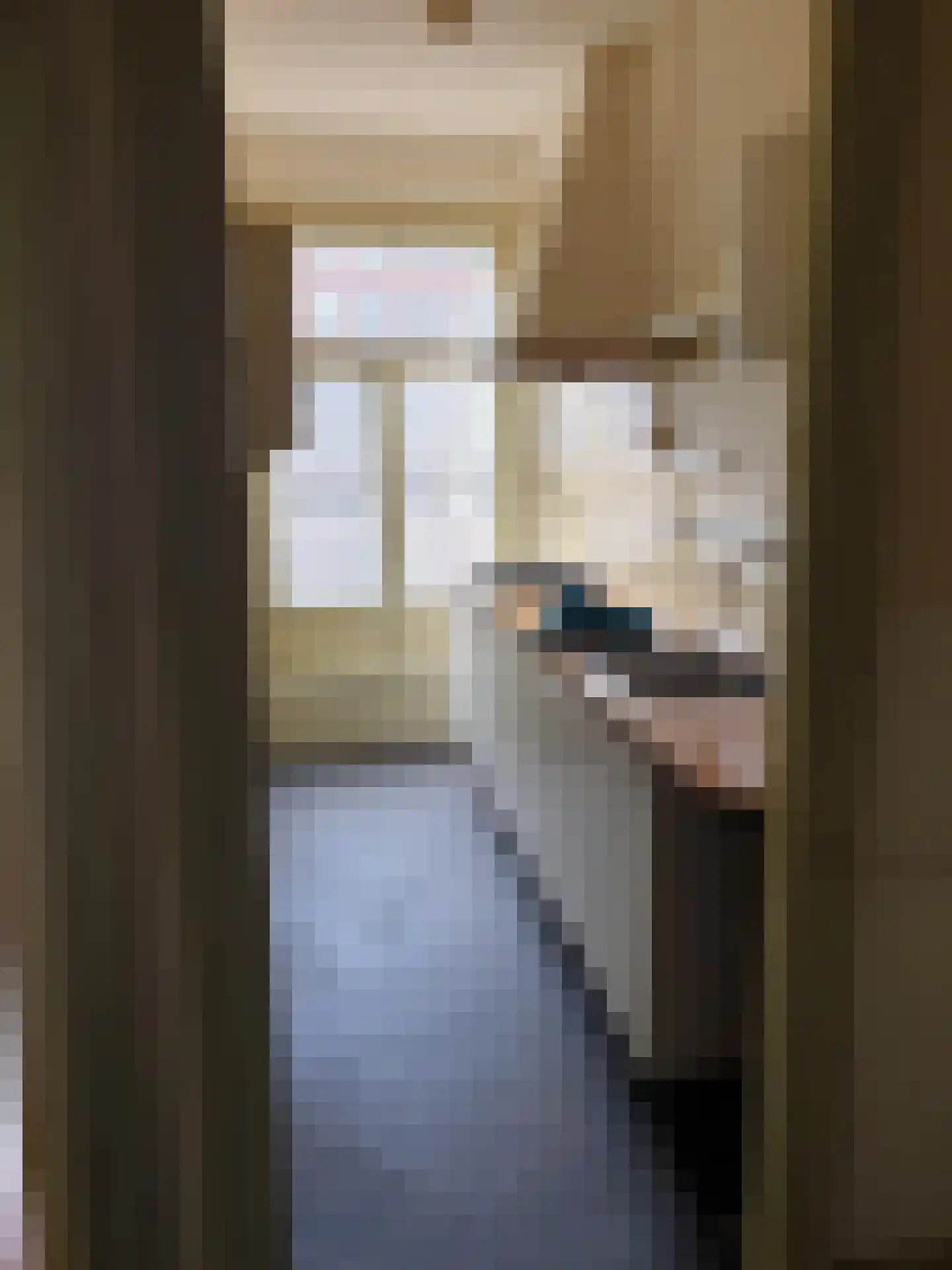 Nieuwe Rijn 14 Leiden thumbnail 7