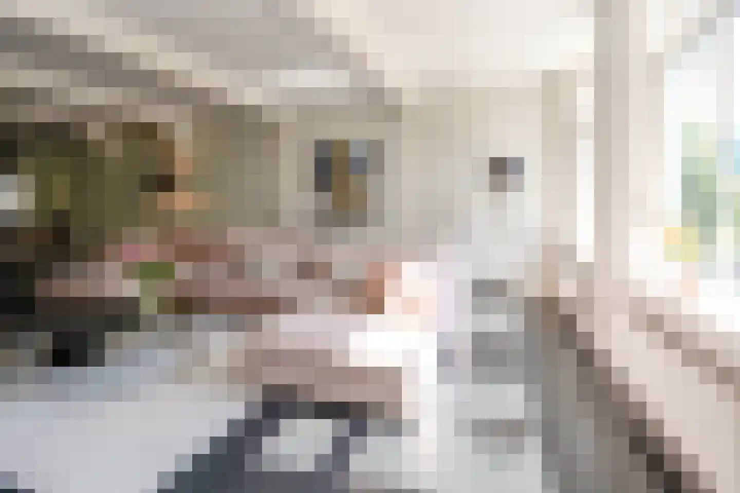 Nieuwe Rijn 17 Leiden thumbnail 11