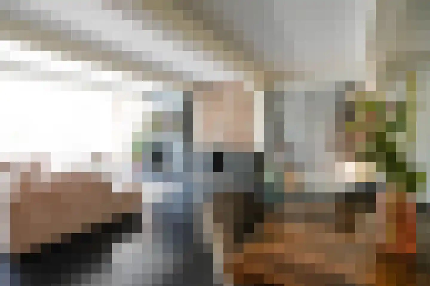 Nieuwe Rijn 17 Leiden thumbnail 12