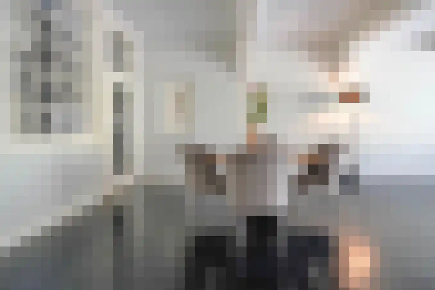 Nieuwe Rijn 17 Leiden thumbnail 14