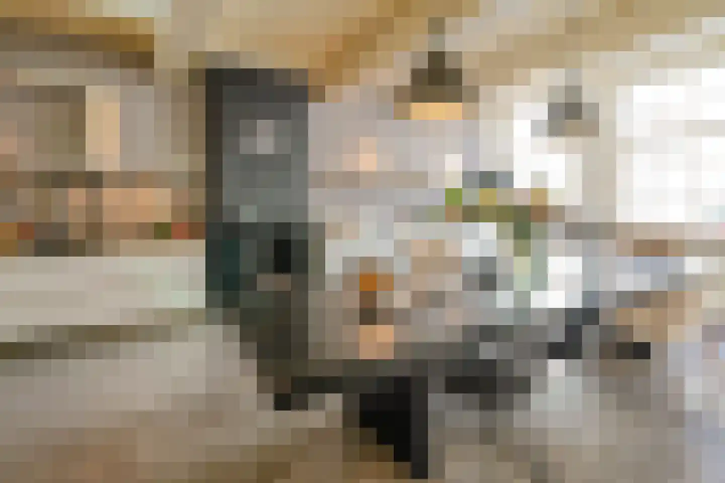 Nieuwe Rijn 17 Leiden thumbnail 15