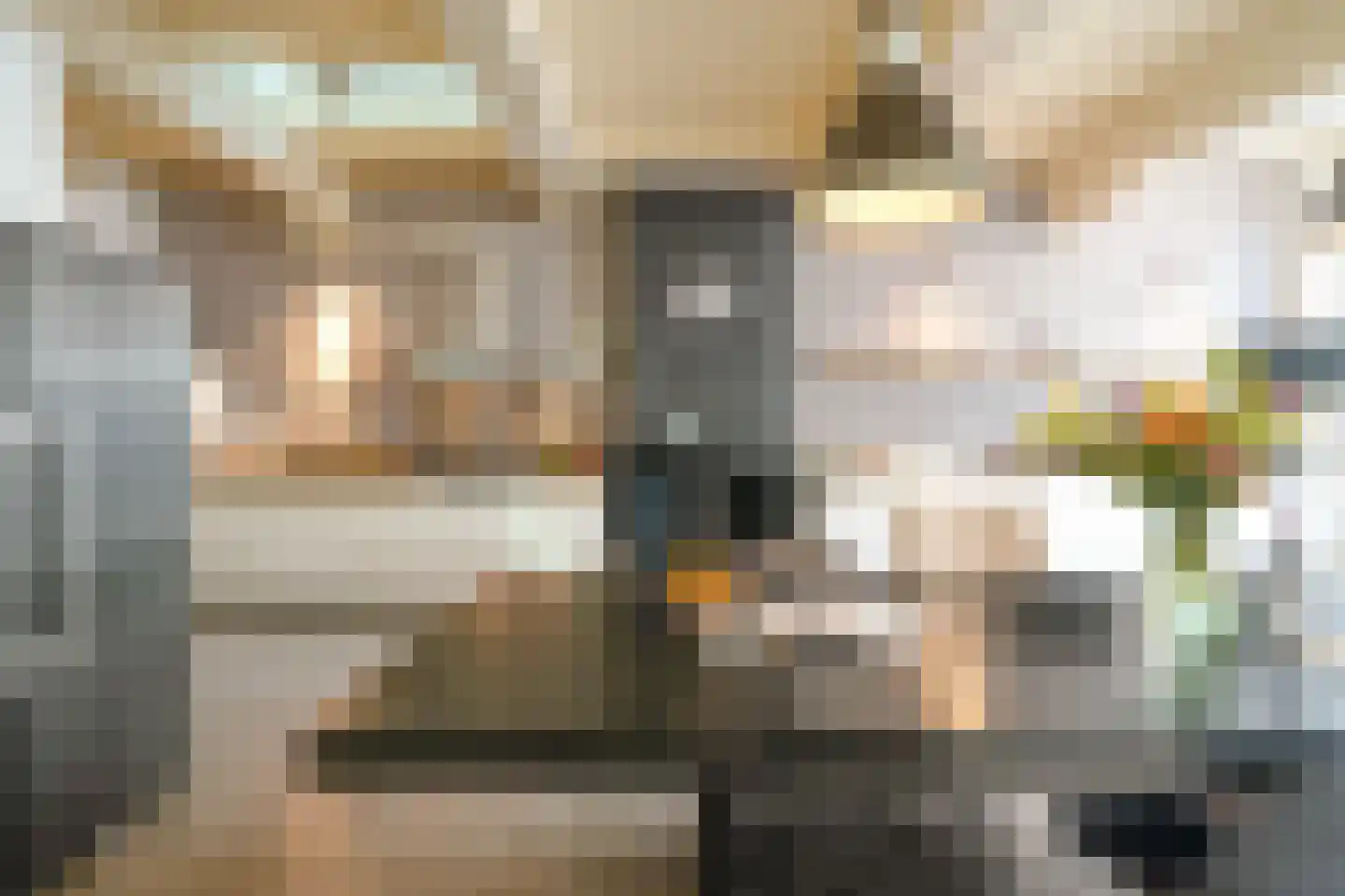 Nieuwe Rijn 17 Leiden thumbnail 16