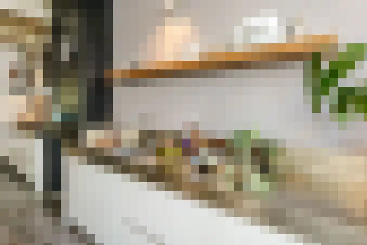Nieuwe Rijn 17 Leiden thumbnail 17