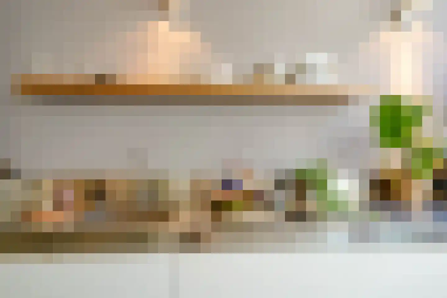 Nieuwe Rijn 17 Leiden thumbnail 19