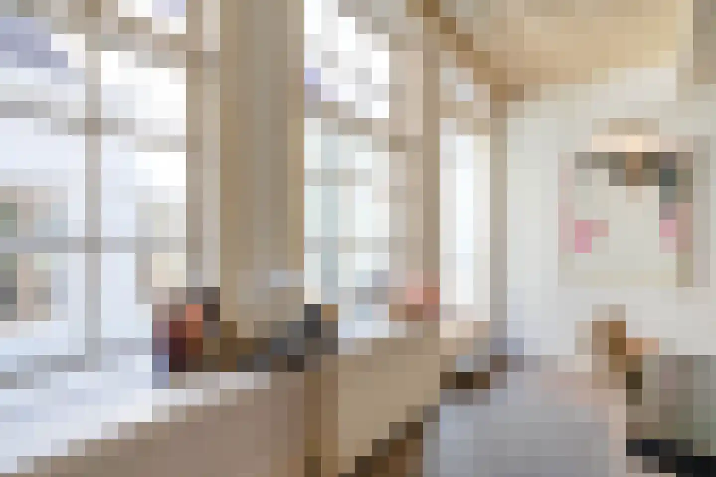 Nieuwe Rijn 17 Leiden thumbnail 20