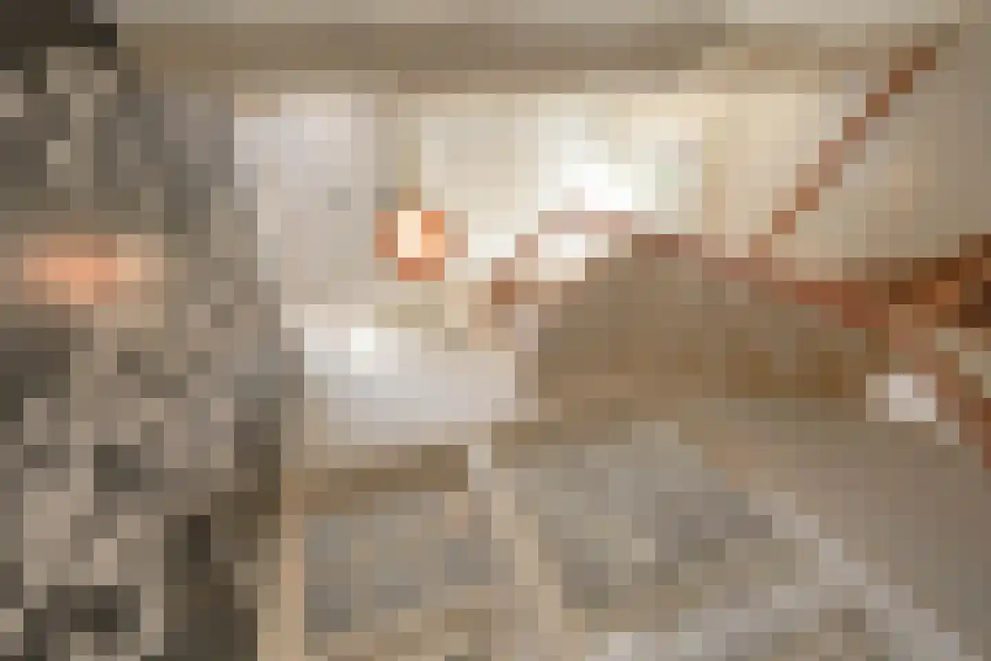 Nieuwe Rijn 17 Leiden thumbnail 21