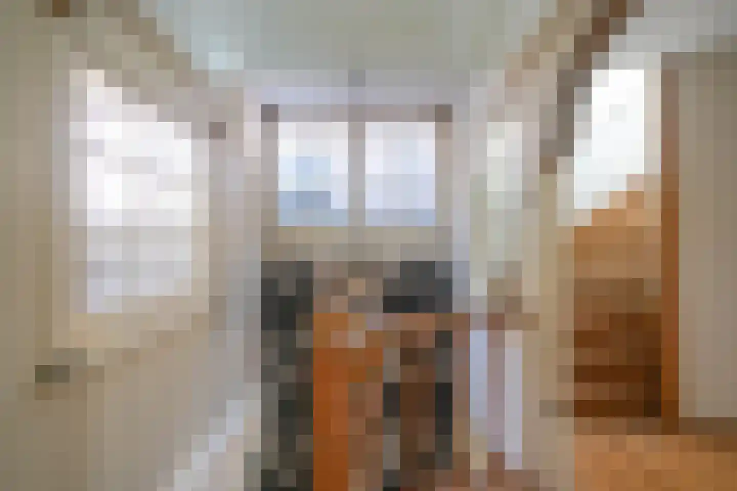 Nieuwe Rijn 17 Leiden thumbnail 22