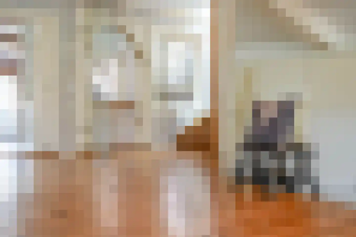 Nieuwe Rijn 17 Leiden thumbnail 23
