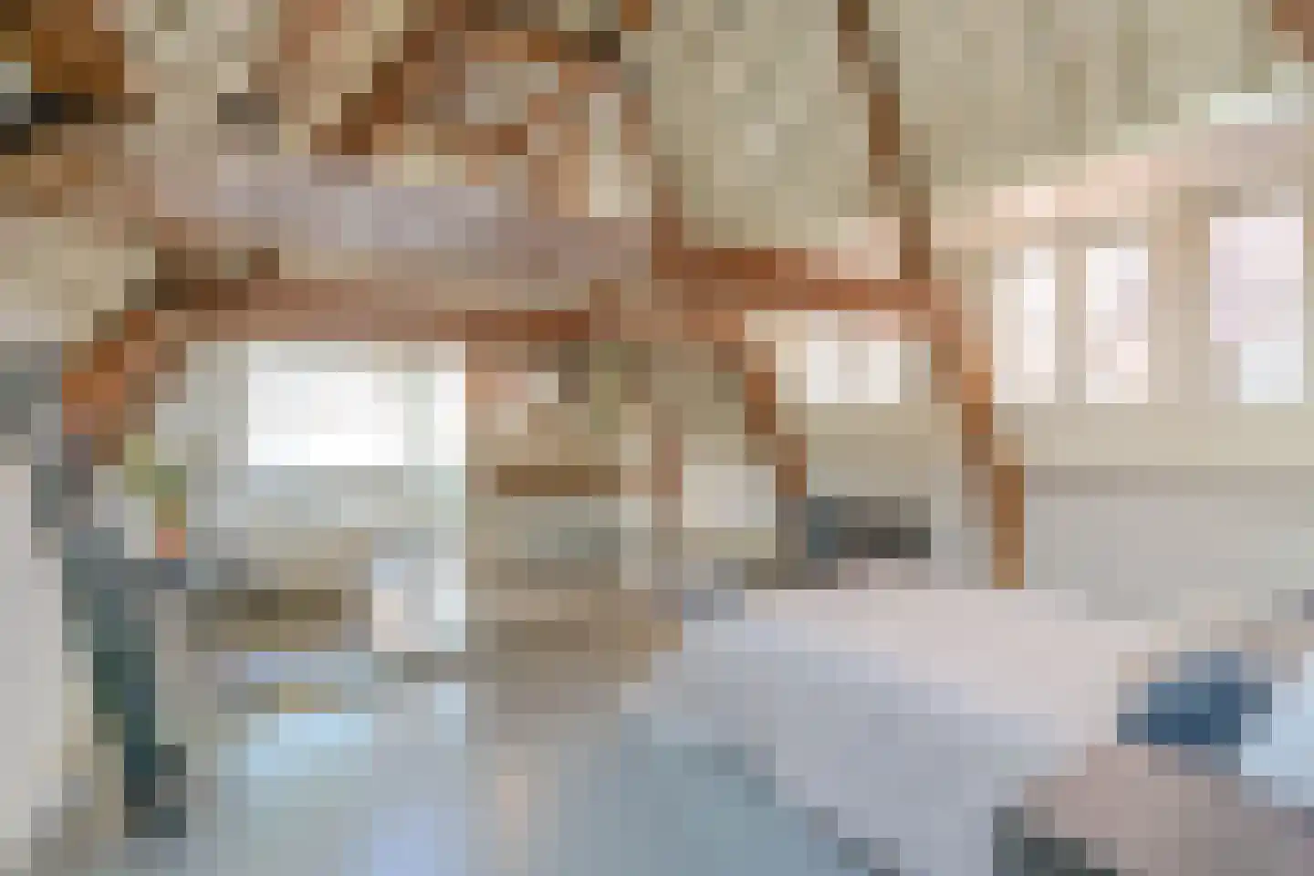 Nieuwe Rijn 17 Leiden thumbnail 27