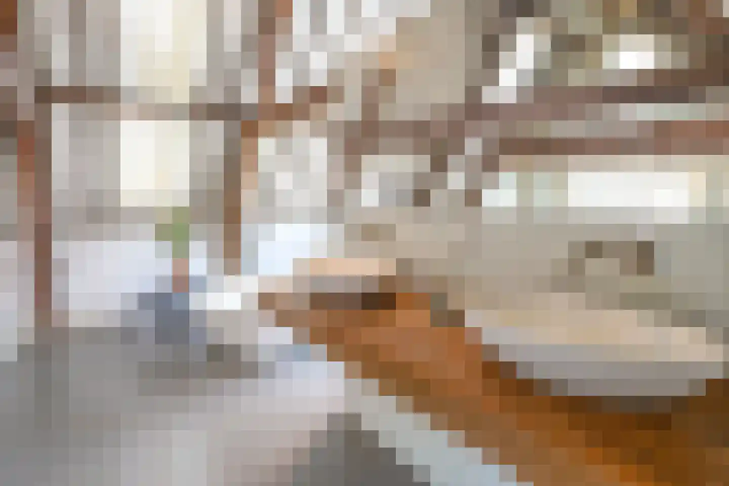 Nieuwe Rijn 17 Leiden thumbnail 28