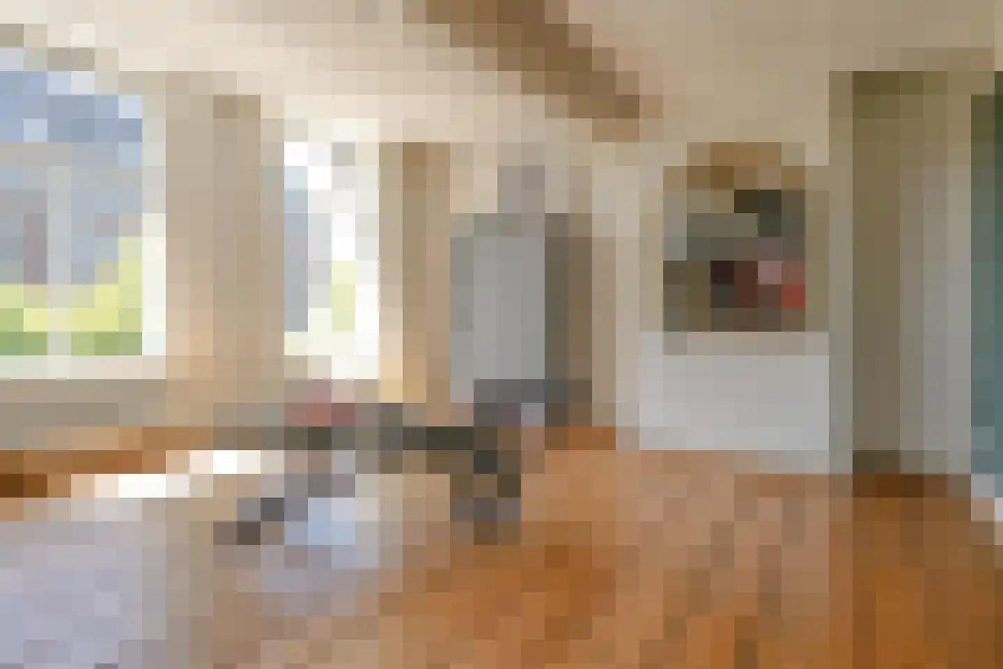 Nieuwe Rijn 17 Leiden thumbnail 35