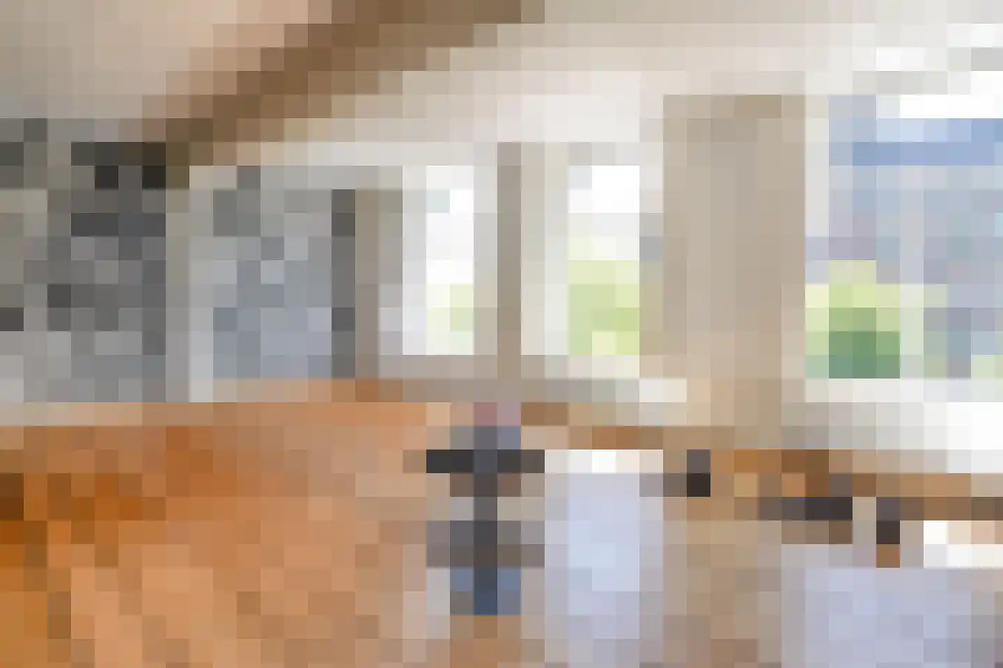 Nieuwe Rijn 17 Leiden thumbnail 37