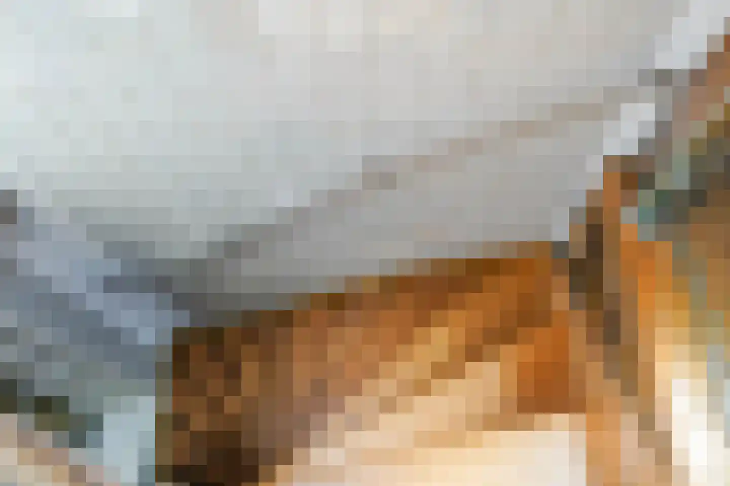 Nieuwe Rijn 17 Leiden thumbnail 39
