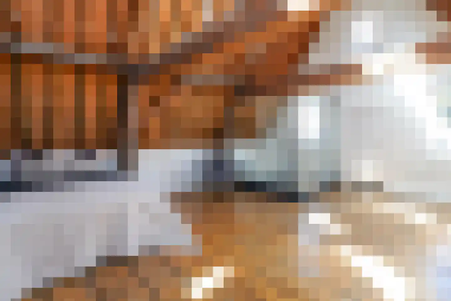 Nieuwe Rijn 17 Leiden thumbnail 42