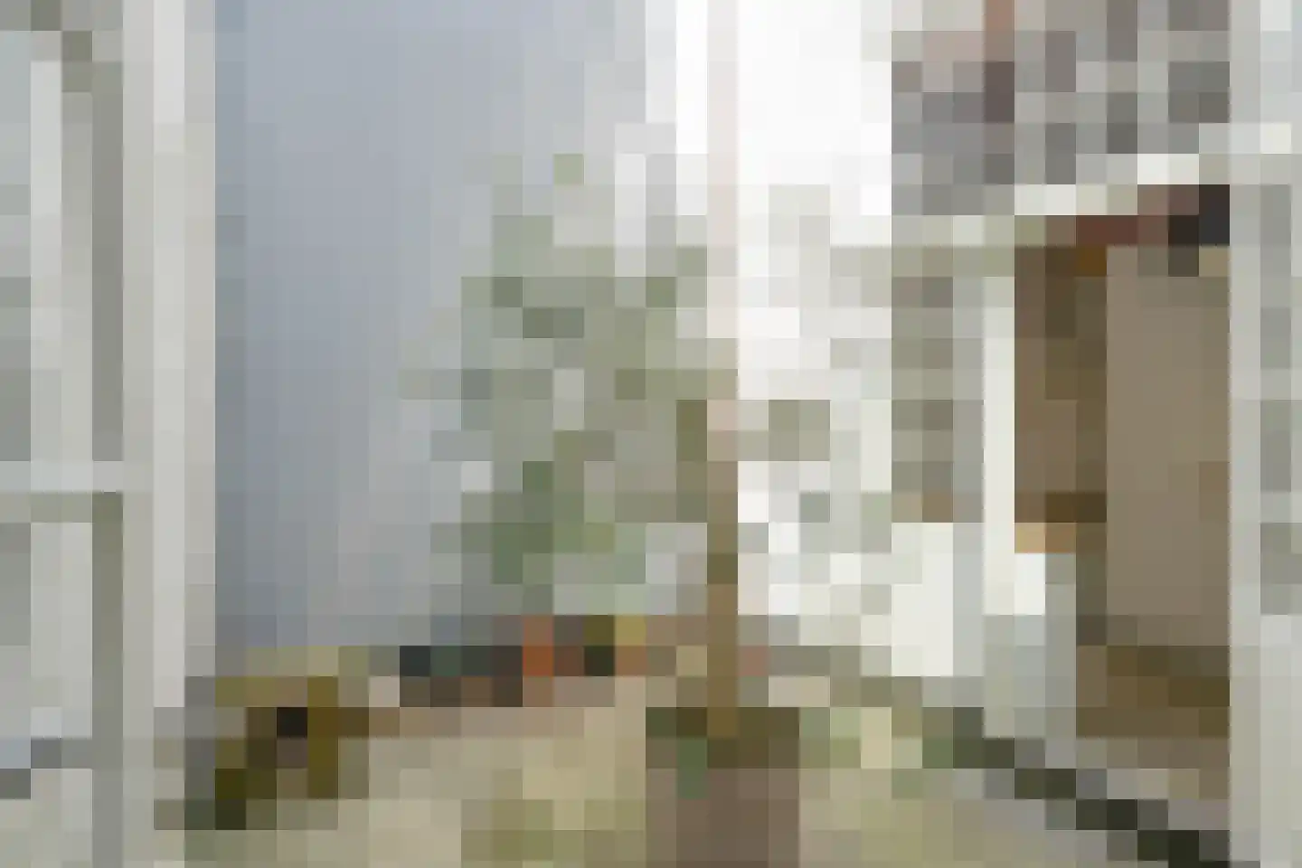 Nieuwe Rijn 17 Leiden thumbnail 44