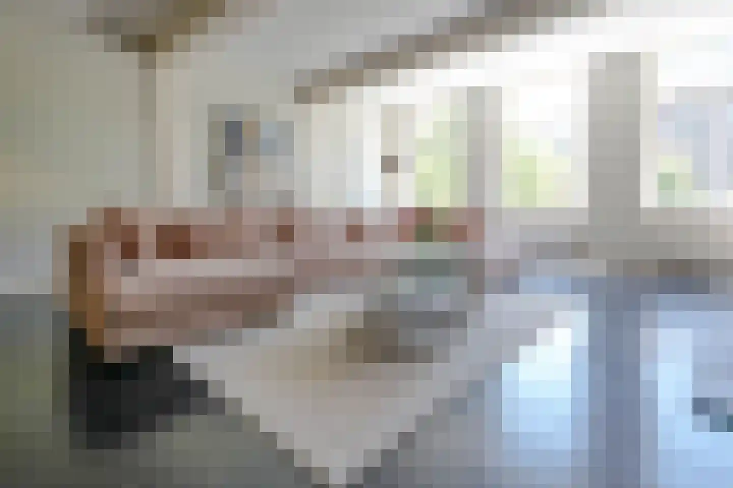 Nieuwe Rijn 17 Leiden thumbnail 5