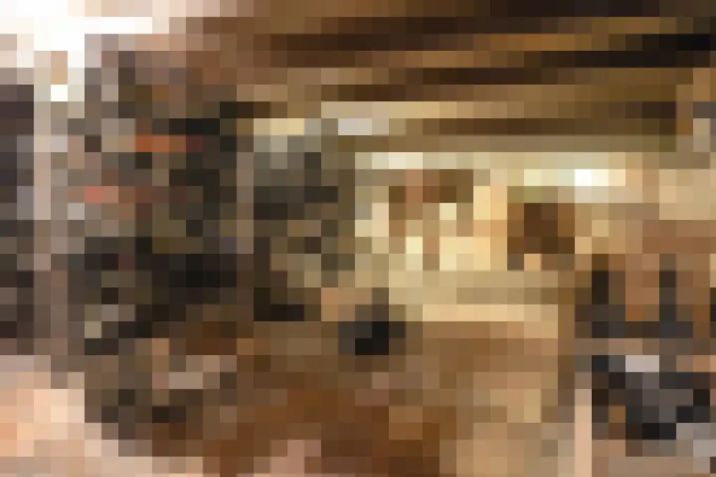 Nieuwe Rijn 17 Leiden thumbnail 50