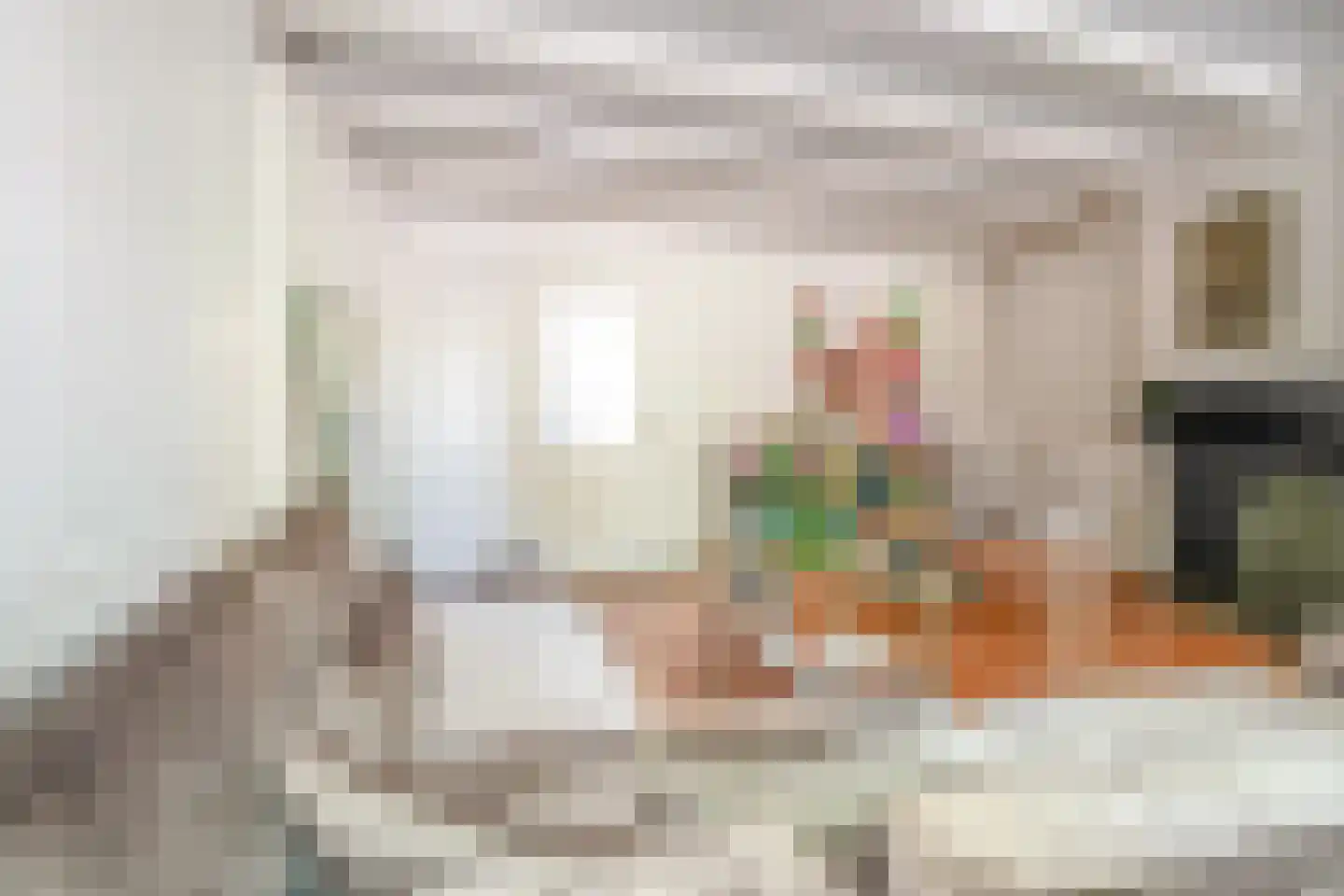 Nieuwe Rijn 17 Leiden thumbnail 51