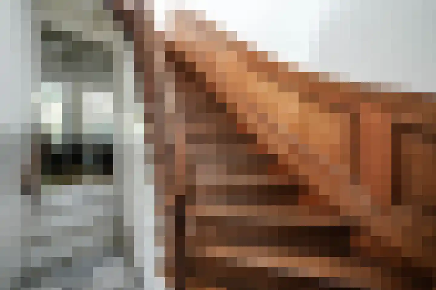 Nieuwe Rijn 17 Leiden thumbnail 55