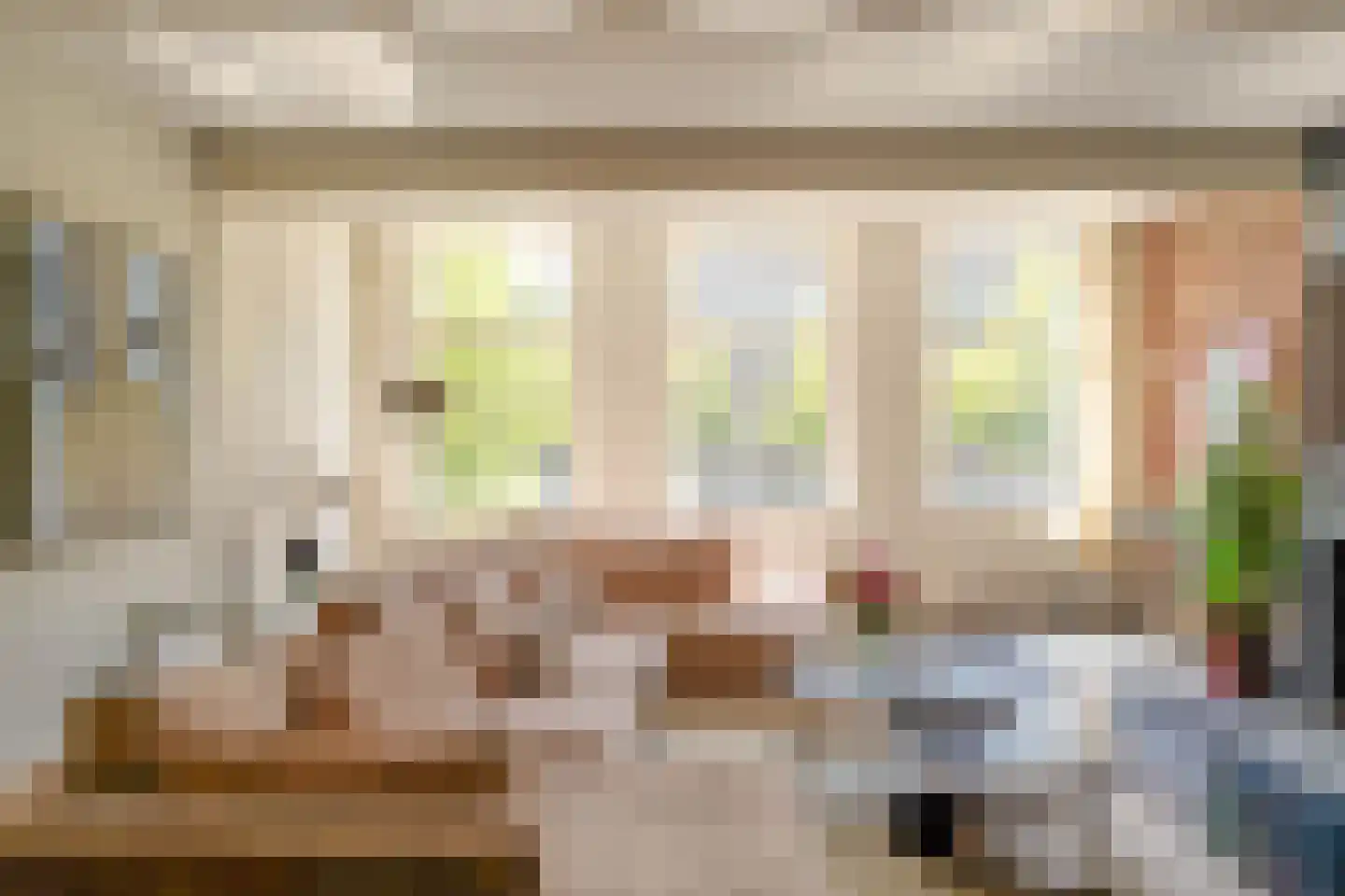 Nieuwe Rijn 17 Leiden thumbnail 6