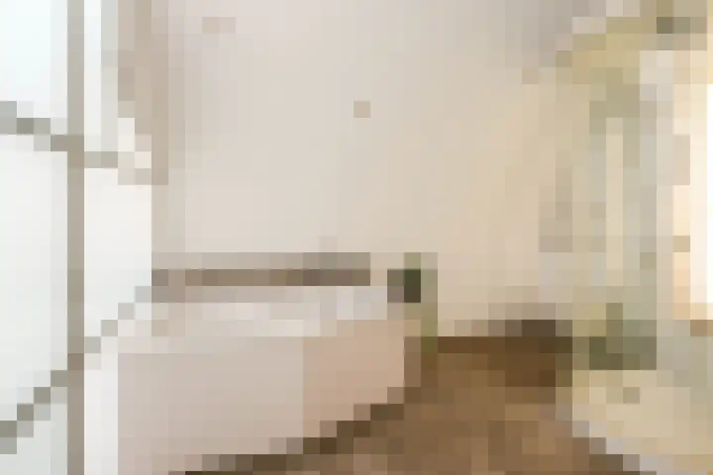 Nieuwe Rijn 17 Leiden thumbnail 65
