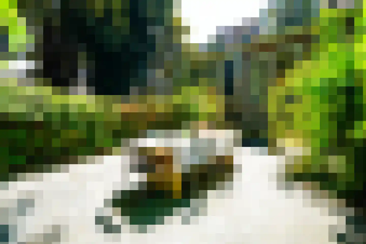 Nieuwe Rijn 17 Leiden thumbnail 67