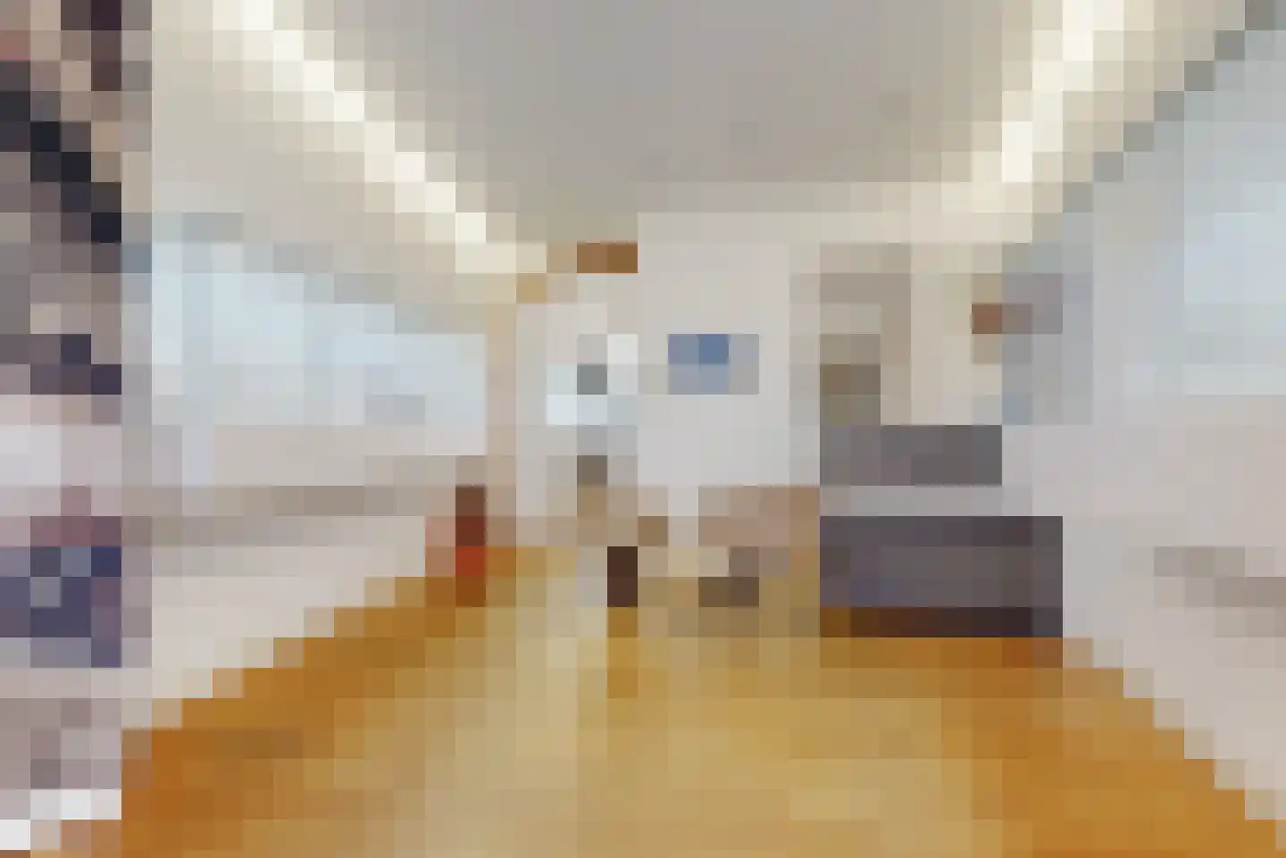 Nieuwe Rijn 3 Leiden thumbnail 11