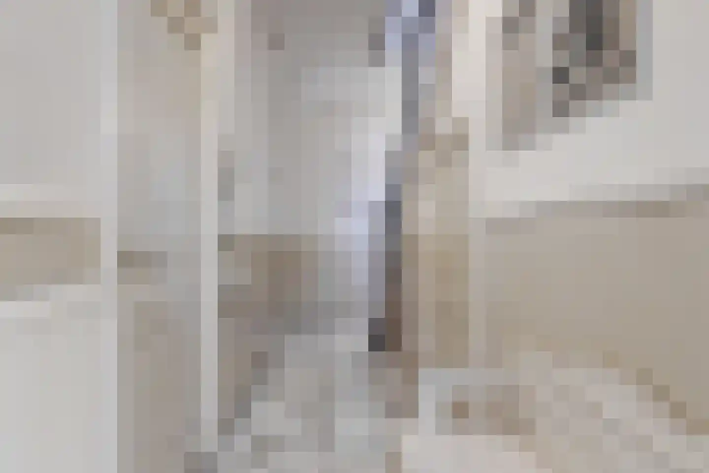 Nieuwe Rijn 3 Leiden thumbnail 12