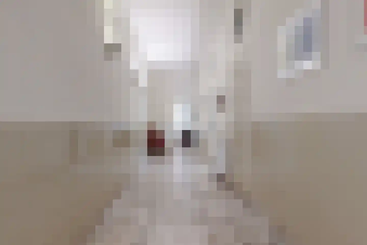 Nieuwe Rijn 3 Leiden thumbnail 13
