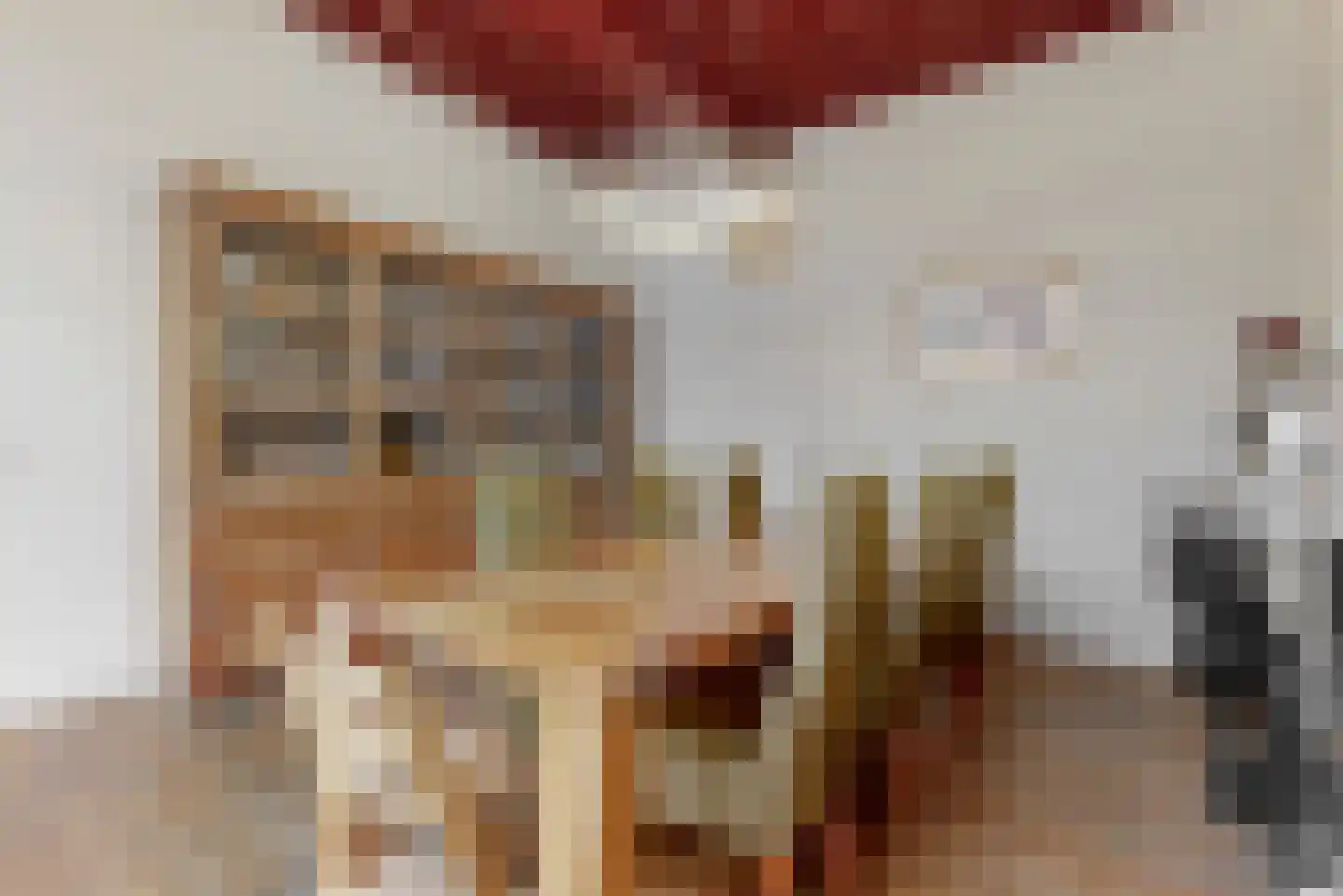 Nieuwe Rijn 3 Leiden thumbnail 18
