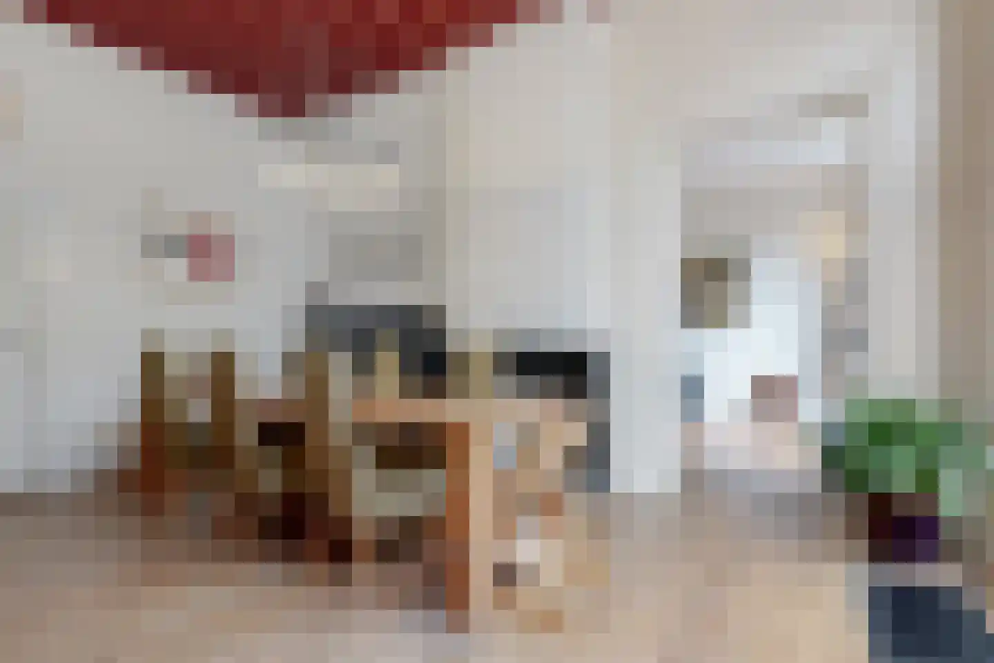 Nieuwe Rijn 3 Leiden thumbnail 19