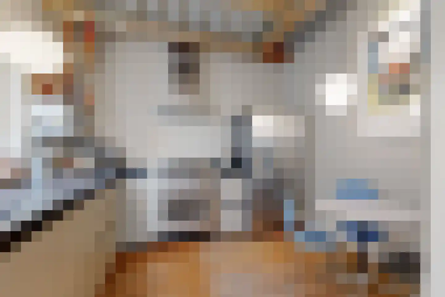 Nieuwe Rijn 3 Leiden thumbnail 25
