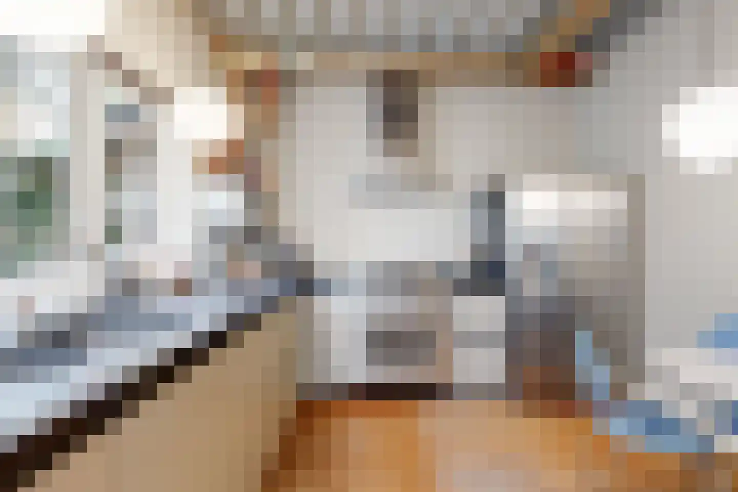 Nieuwe Rijn 3 Leiden thumbnail 26