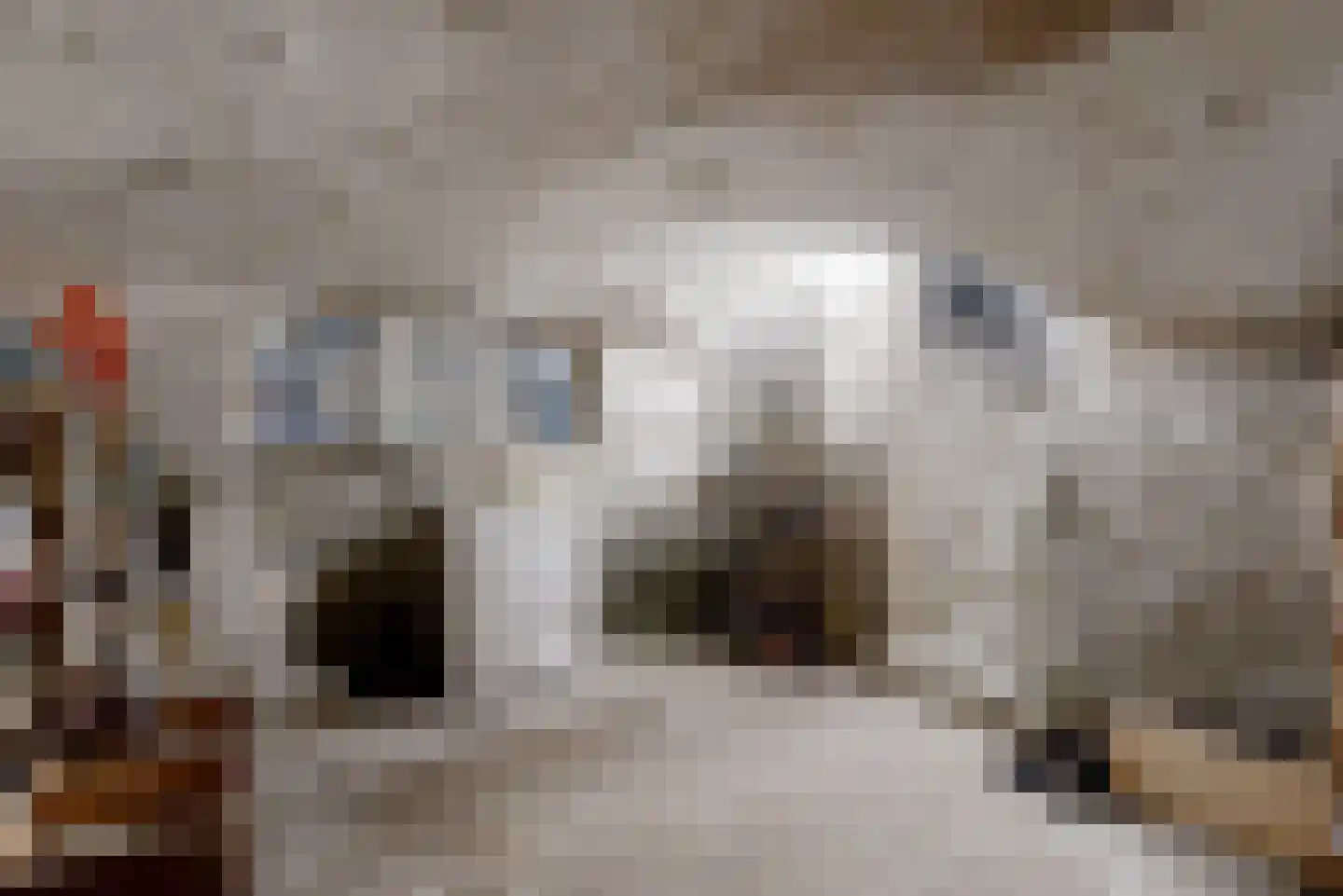 Nieuwe Rijn 3 Leiden thumbnail 31