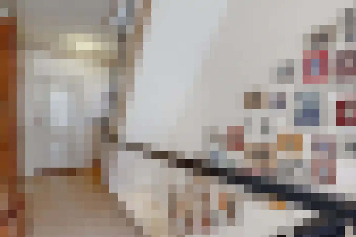 Nieuwe Rijn 3 Leiden thumbnail 32