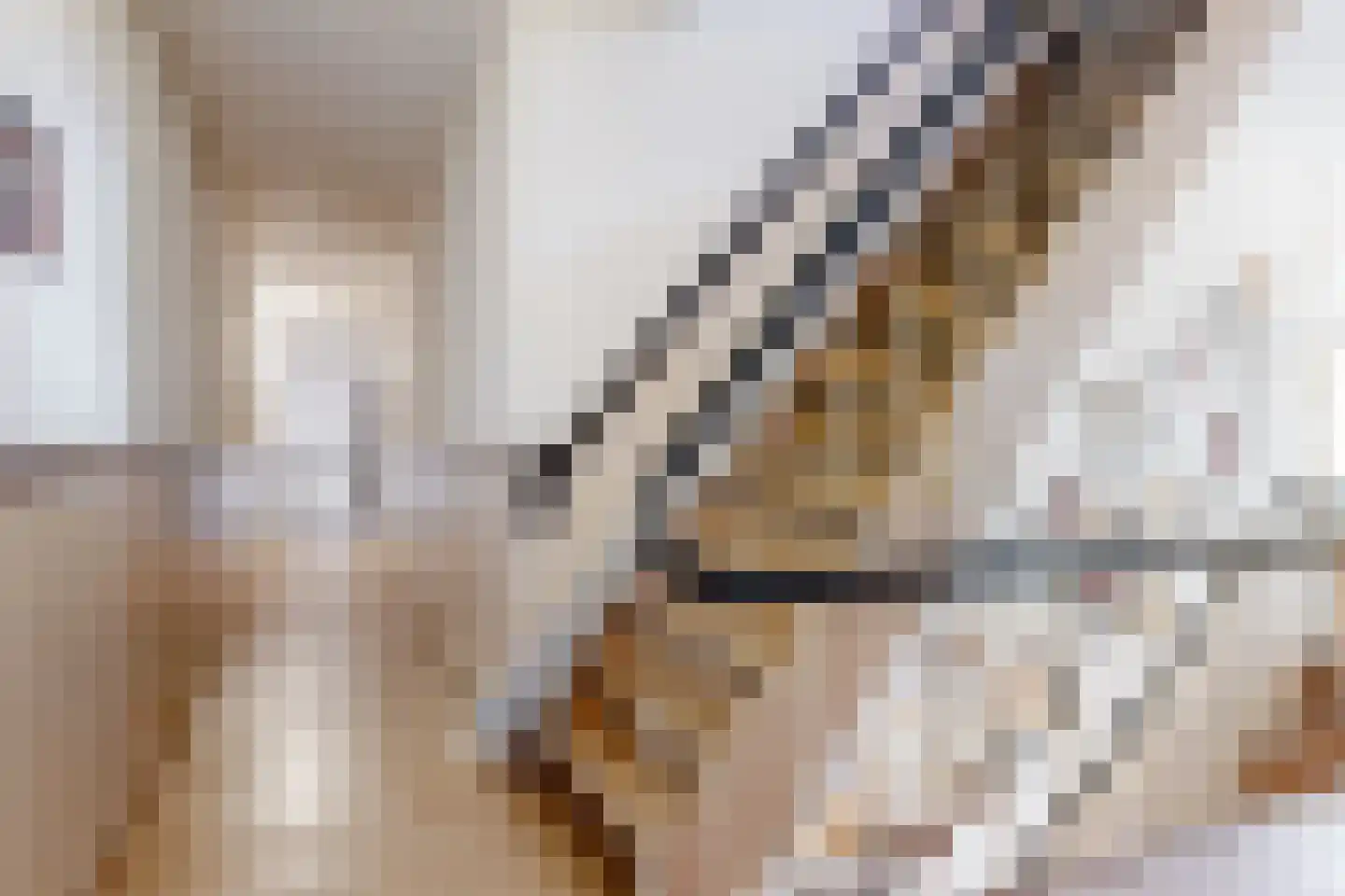 Nieuwe Rijn 3 Leiden thumbnail 33