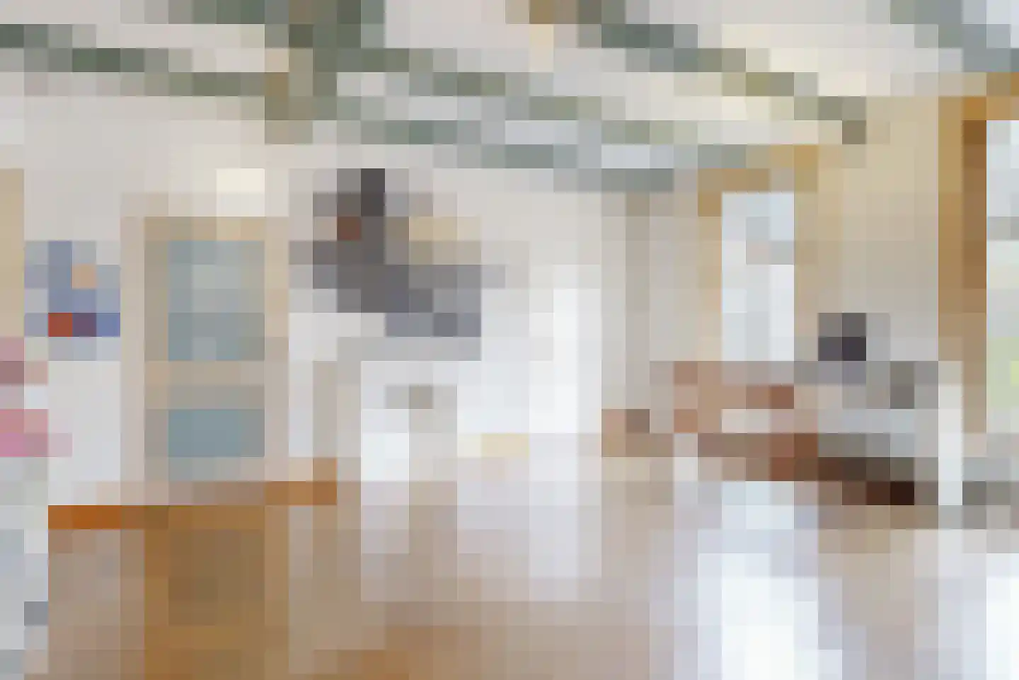 Nieuwe Rijn 3 Leiden thumbnail 37
